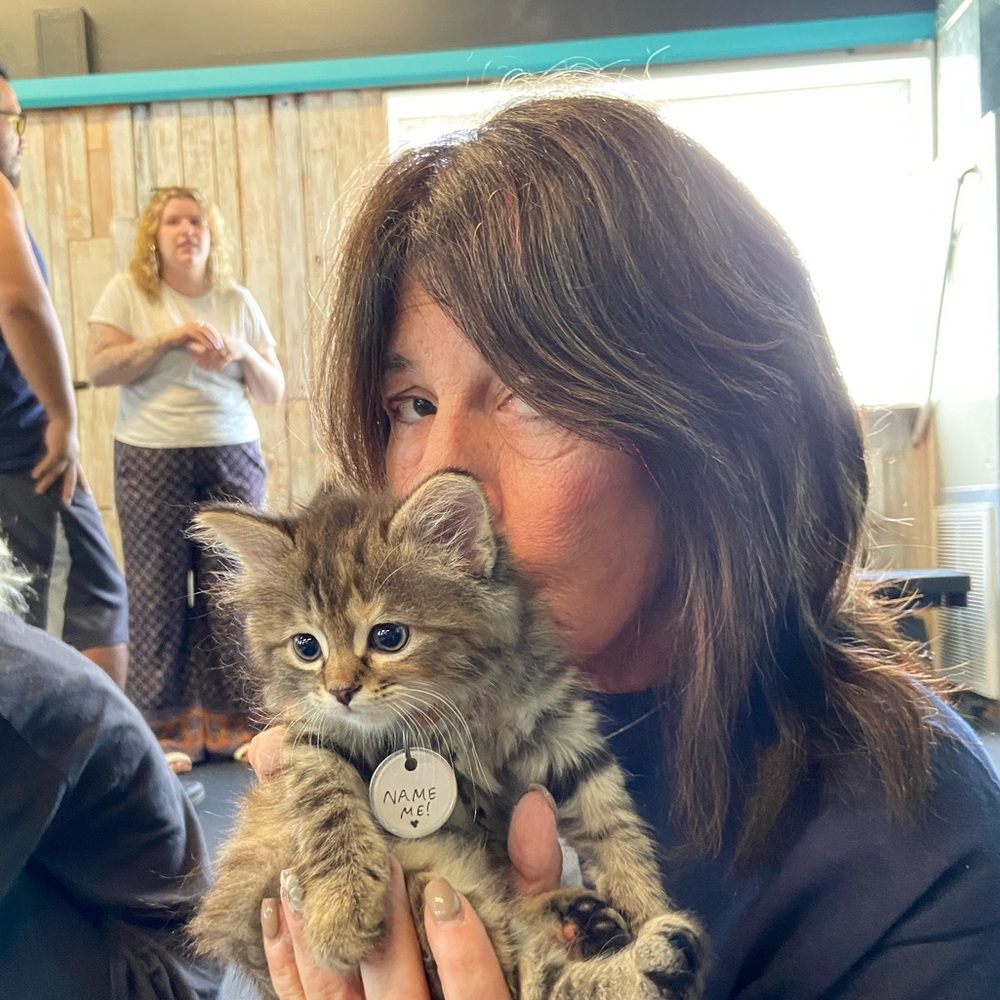 Meet your Posher, Ellyn